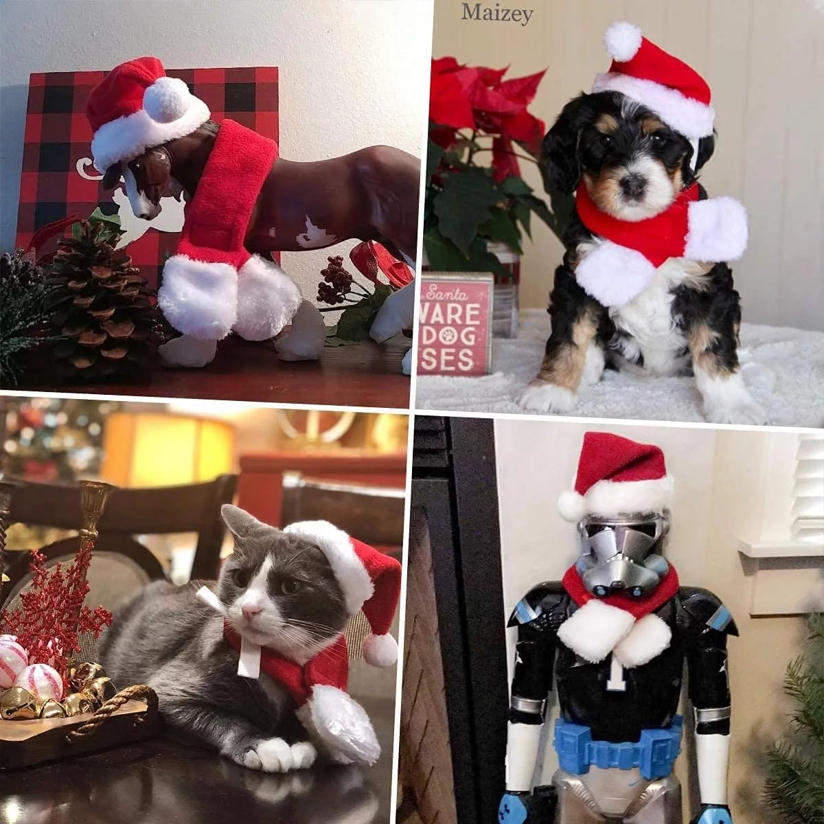 Christmas Pet Red Hat