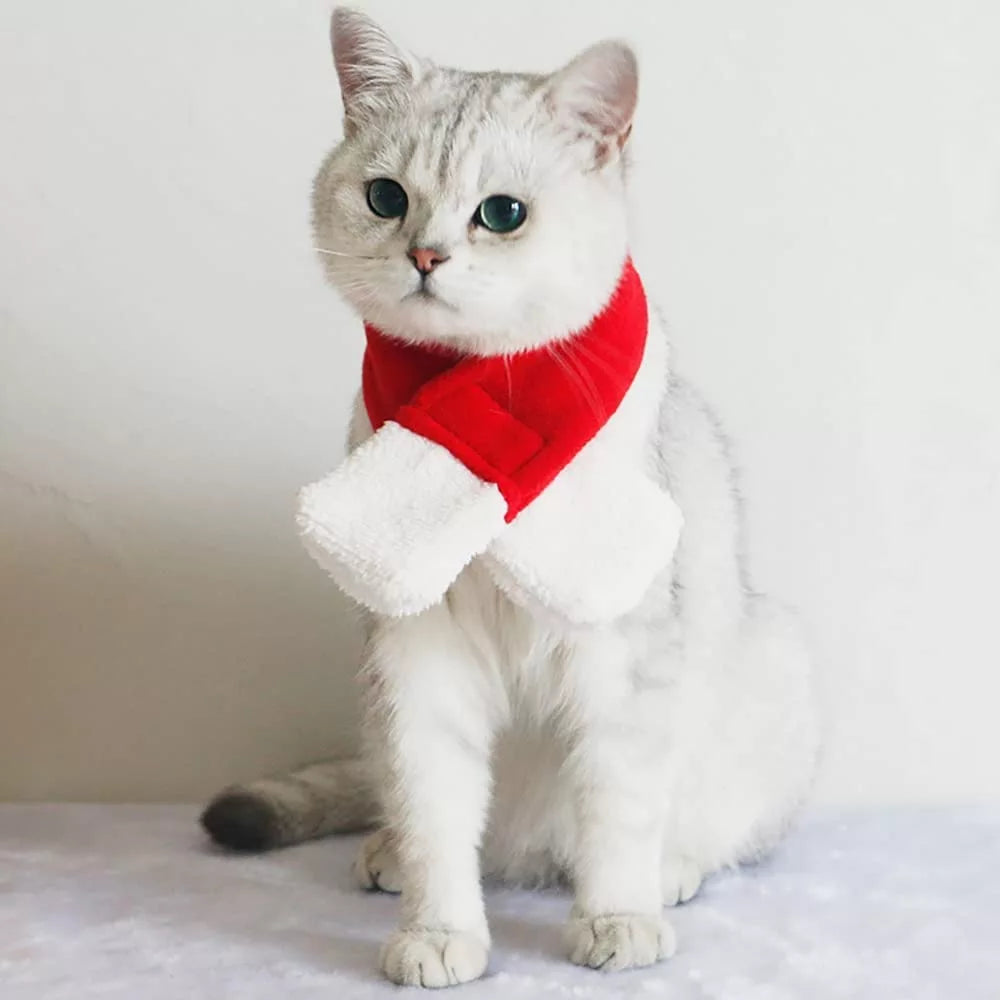 Christmas Pet Red Scarf