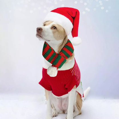 Christmas Pet Red and Green Scarf