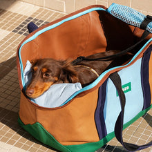 Color-Block Pet Tote Carrier