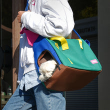 Colorful Pet Carrier