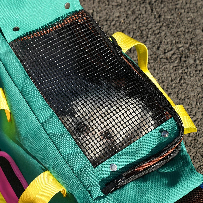 Colorful Pet Carrier