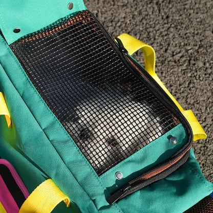 Colorful Pet Carrier