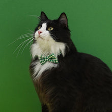 Cute Cat Collar