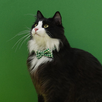 Cute Cat Collar