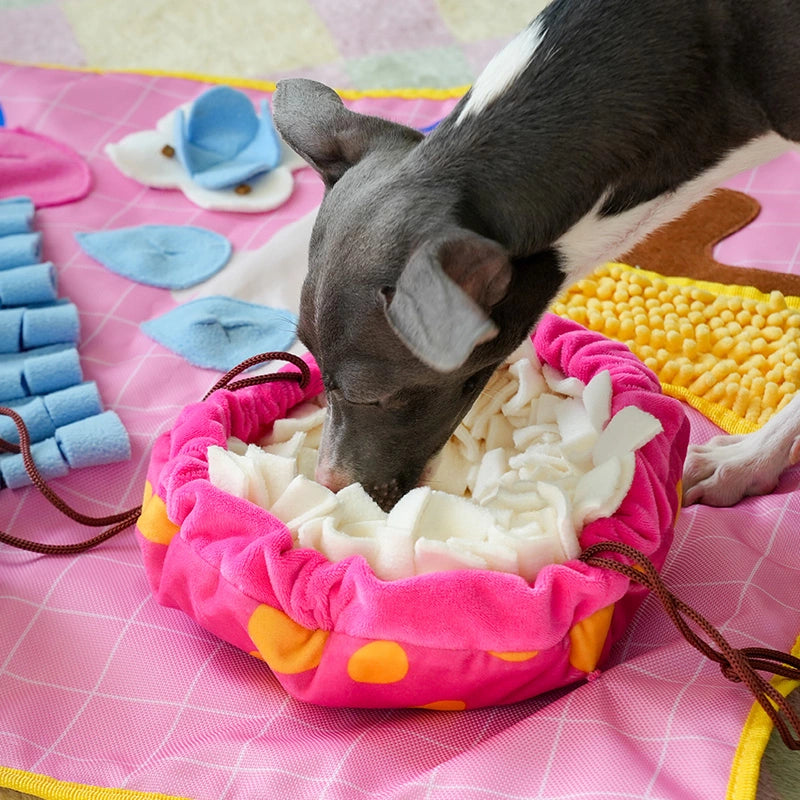 Funny Dog Snuffle Mat