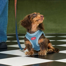 Denim Dog Harness