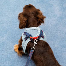 Denim Dog Harness