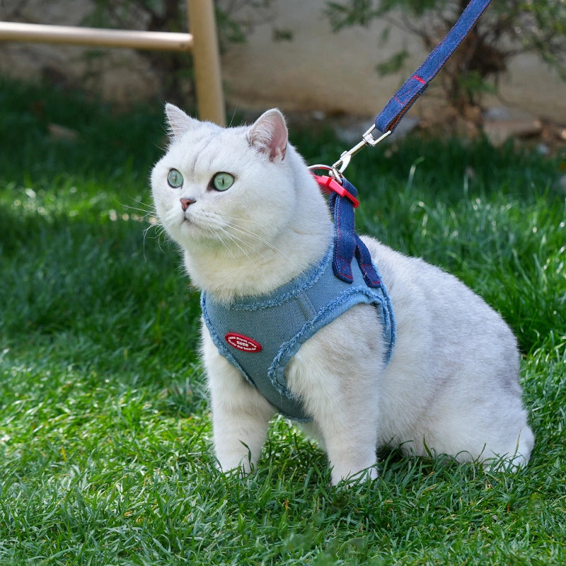 Denim Dog Harness