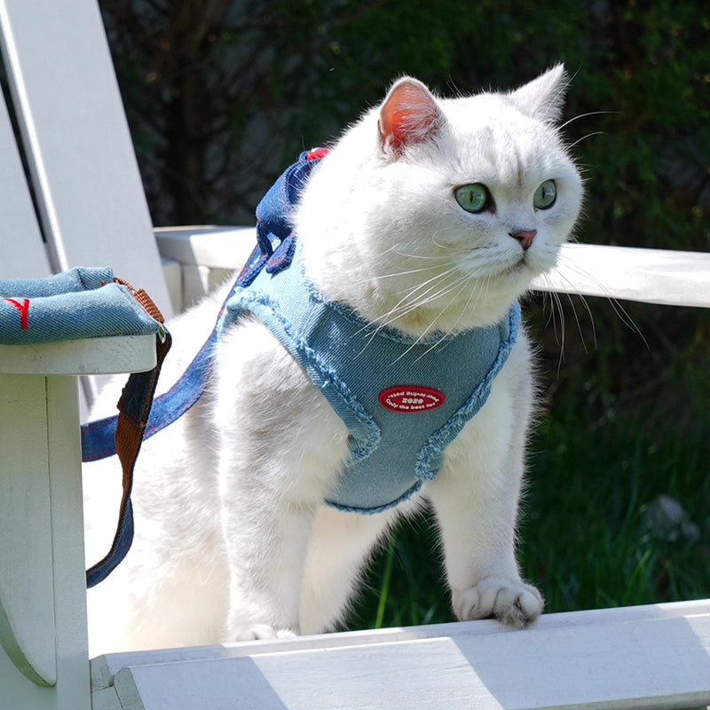 Denim Dog Harness