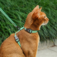 Plaid H-Harness Pet Leash