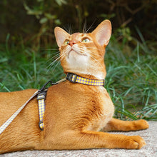 Plaid H-Harness Pet Leash