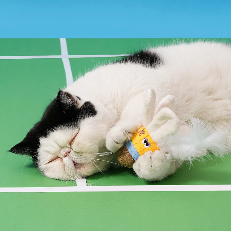 Companion Bird Cat Catnip Toy