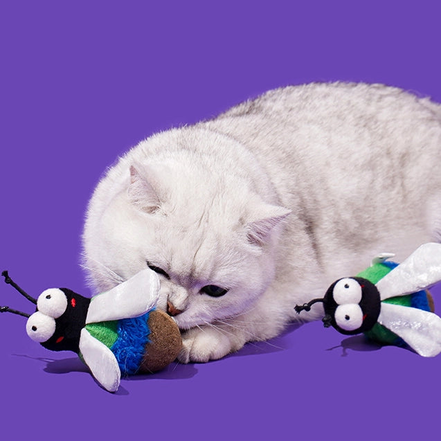 Companion Bird Cat Catnip Toy