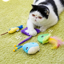 4Pcs Cat Chew Toy Set
