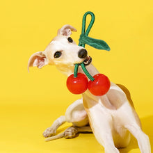 Delicious Fruit Dog Chew Toy