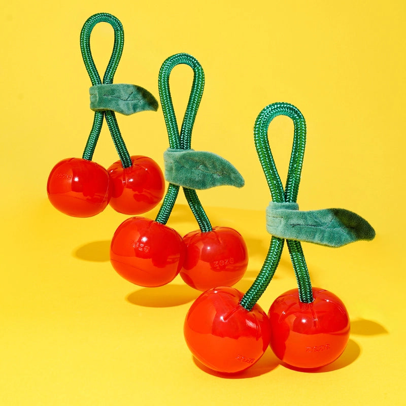 Delicious Fruit Dog Chew Toy