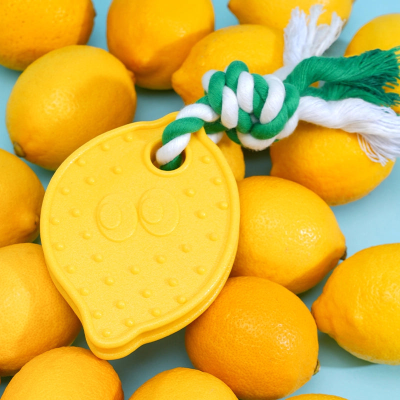 Lemon Dog Chew Toy
