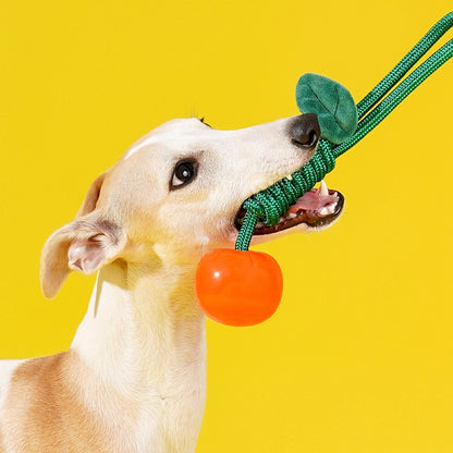 Delicious Fruit Dog Chew Toy
