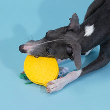 Lemon Dog Chew Toy