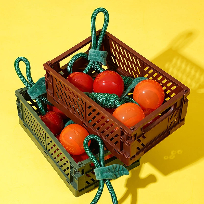 Delicious Fruit Dog Chew Toy