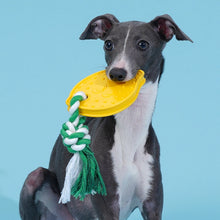 Lemon Dog Chew Toy
