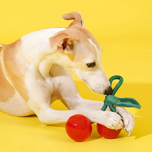 Delicious Fruit Dog Chew Toy