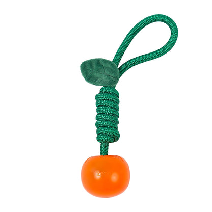 Delicious Fruit Dog Chew Toy
