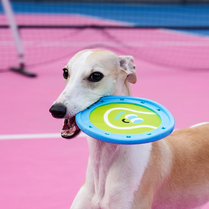 Interactive Dog Flying Disc Toy