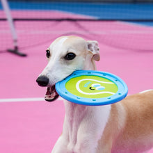 Interactive Dog Flying Disc Toy