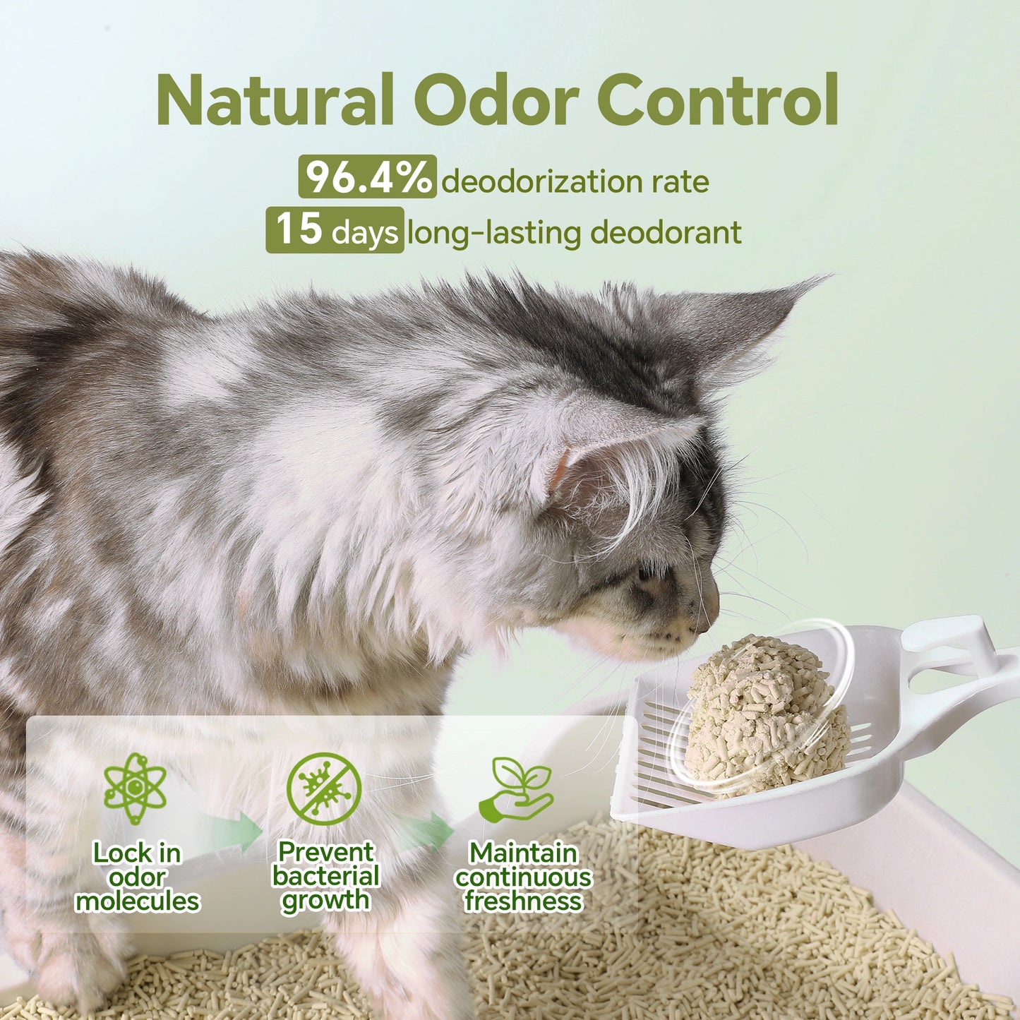 Tofu Mixed Cat Litter
