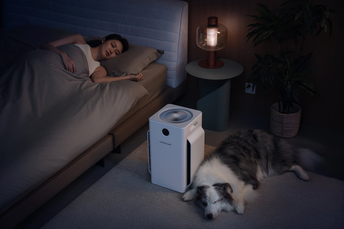 Pet Air Purifier AP32-D1