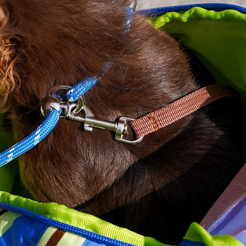 Color-Blocking Striped Pet Carrier