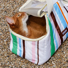 Color-Blocking Striped Pet Carrier