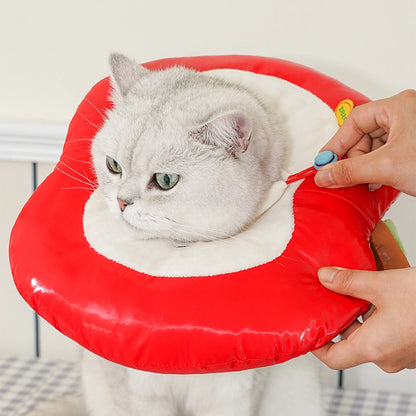 Apple Pet Cone Recovery Collar