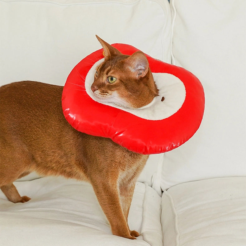 Apple Pet Cone Recovery Collar