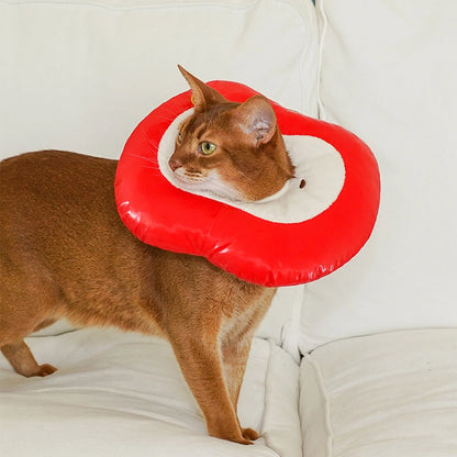 Apple Pet Cone Recovery Collar