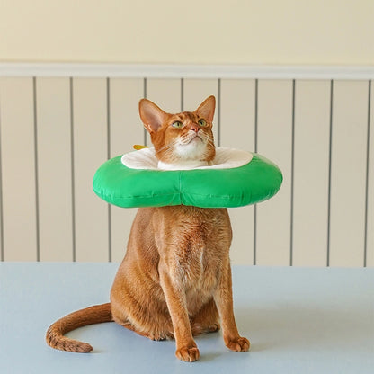 Apple Pet Cone Recovery Collar