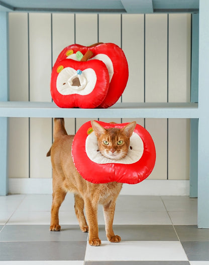 Apple Pet Cone Recovery Collar