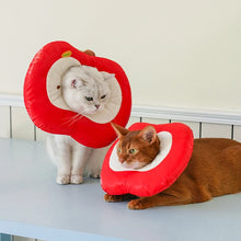 Apple Pet Cone Recovery Collar