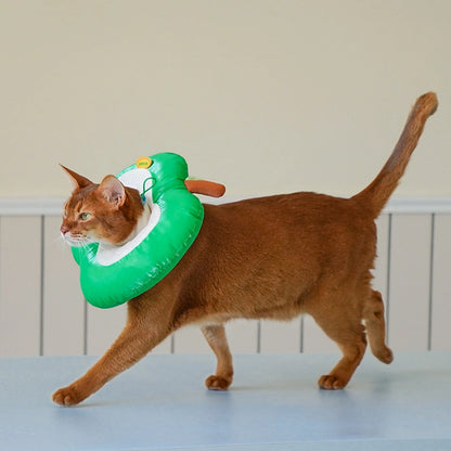 Apple Pet Cone Recovery Collar