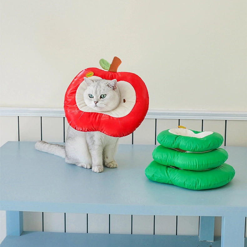 Apple Pet Cone Recovery Collar