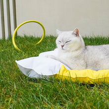 Beer Pet Cooling Mat