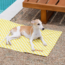 Square Pet Cooling Mat