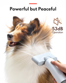 Pet Hair Dryer PD10