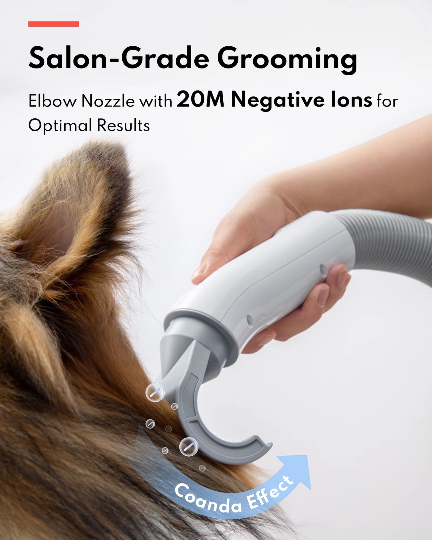 Pet Hair Dryer PD10