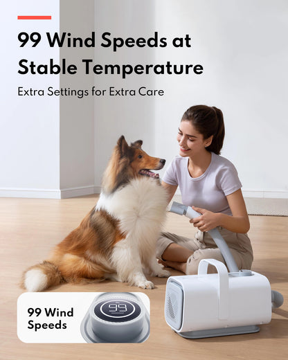 Pet Hair Dryer PD10