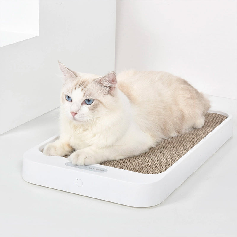 Smart Cat Scratcher with Built-in Digital Scale