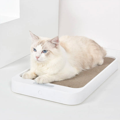 Smart Cat Scratcher with Built-in Digital Scale