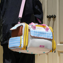 Expandable Pet Carrier